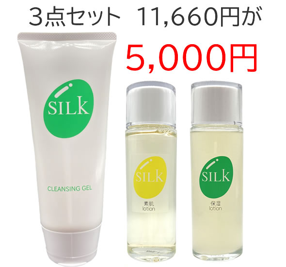 SILK（シーエルケイ）化粧品3点セット