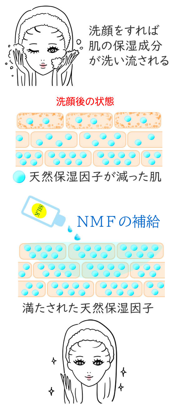 天然保湿因子（NMF）の補給